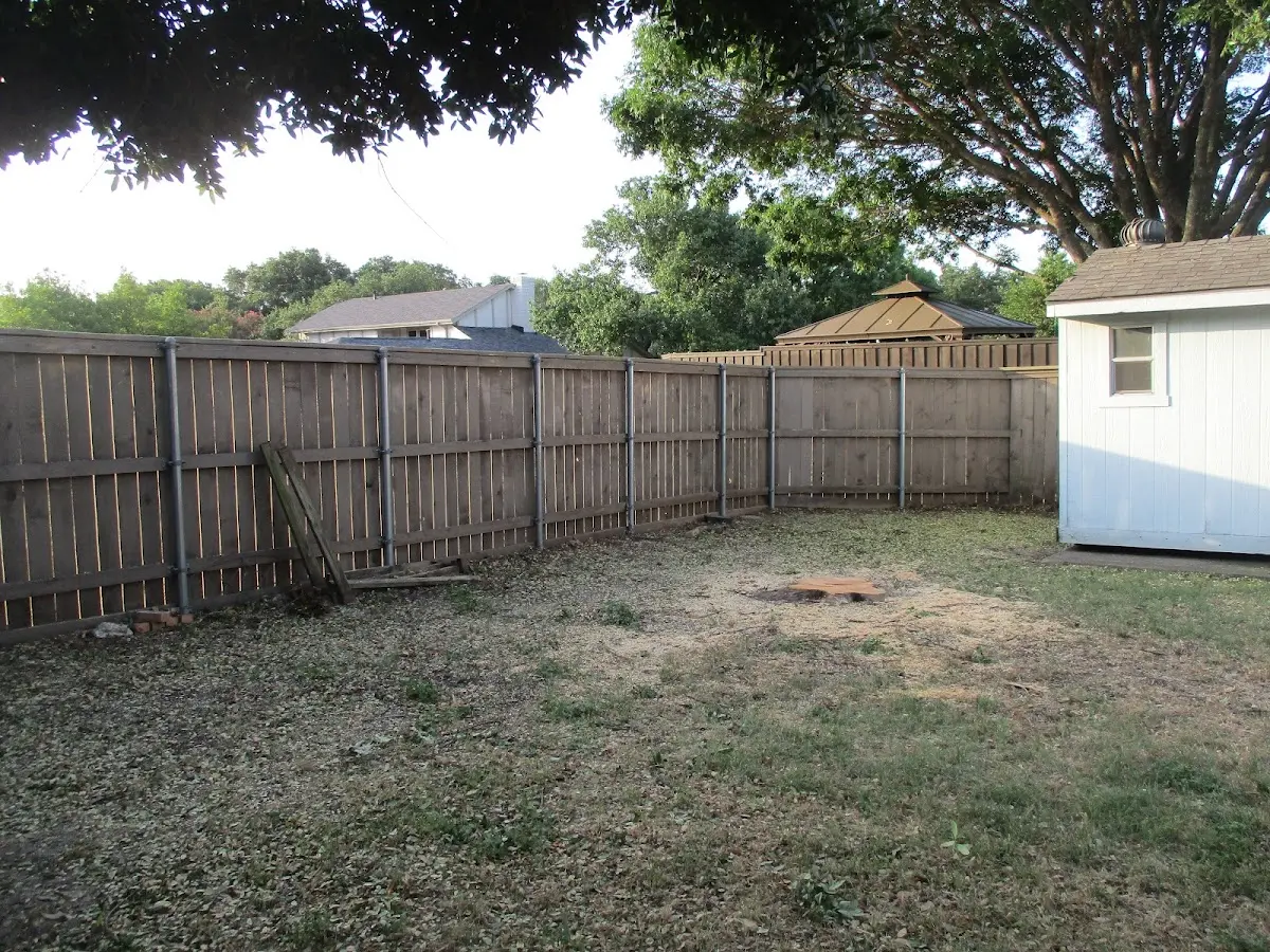 Cleared yard after professional tree removal in Eagle River