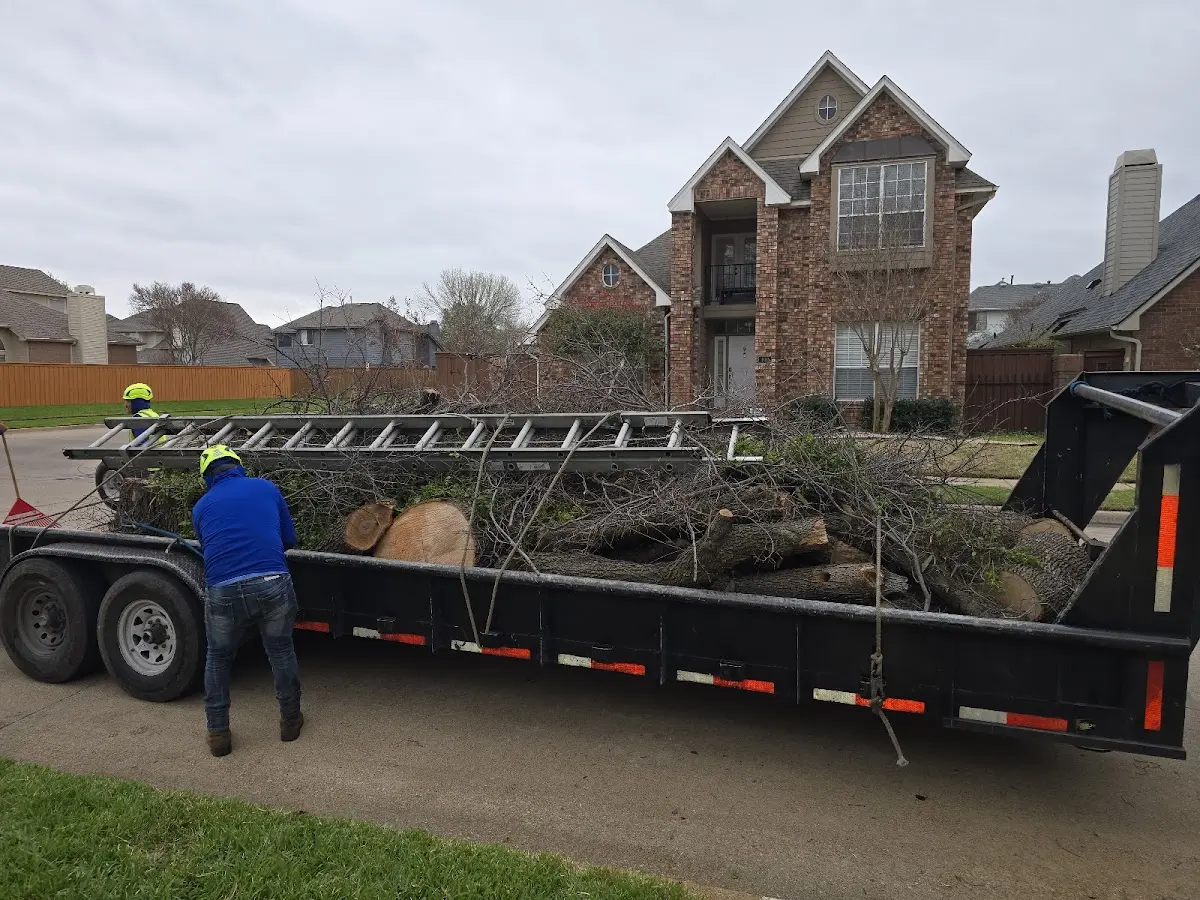 Expert Tree Removal with proper safety equipment in Eagle River